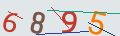verifycode